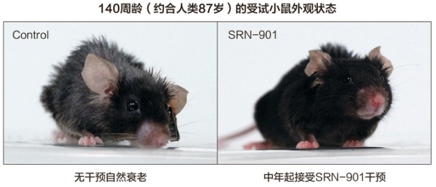 赛诺根“熬夜不折寿”革命性新品首秀，尖端衰老干预技术加速落地