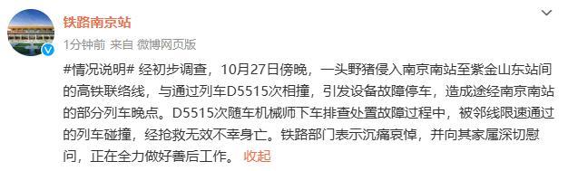 野猪侵入铁路 机械师下车处置被撞亡