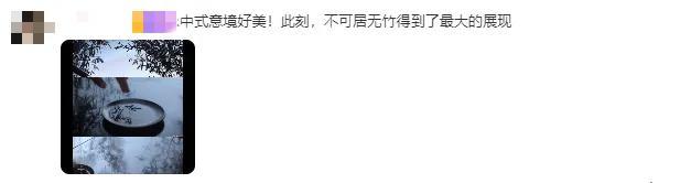 你可以永远相信李子柒的海外影响力！李子柒外网账号网友留言，涨粉榜断层第一