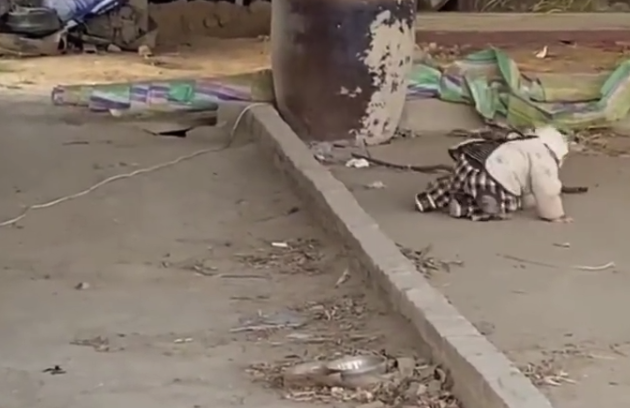 小孩跨坎摔倒3次仍继续挑战 不过度干预是对孩子最好的支持