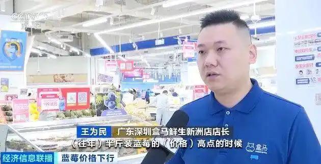 蓝莓价格大跳水了 “按桶论斤”卖成新趋势