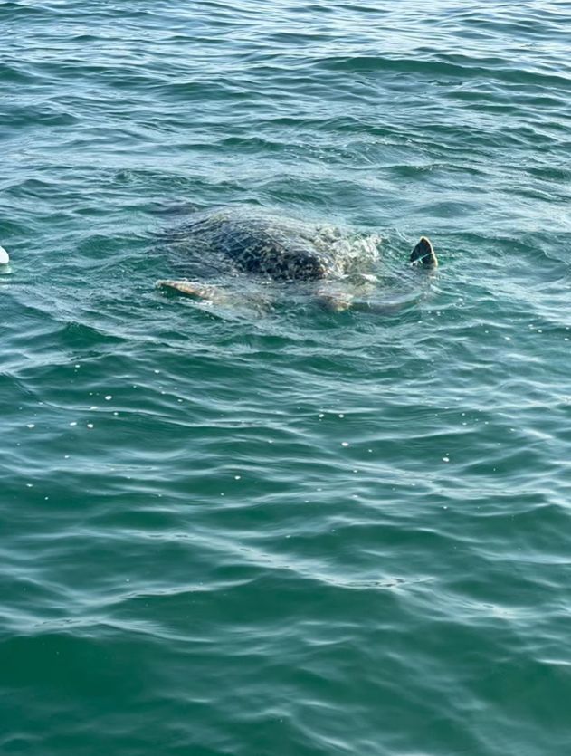 3200米深海惊现微塑料！浊流成关键 “传送带” 深海微塑料污染新发现
