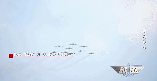 为什么飞行员的第一架飞机都是它?专家揭秘