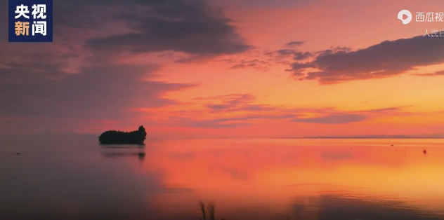把千万种春意拉满！被云南滇池惊艳了