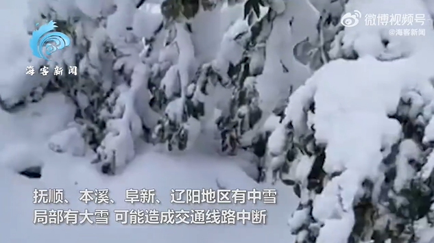 辽宁多地大雪纷飞 积雪没脚踝