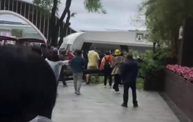 成都熊猫基地大树倒塌砸伤游客 园区回应：有专业团队在进行处理