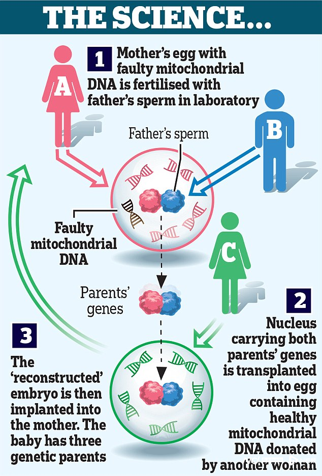 英国诞生第一批三亲婴儿，被誉为试管婴儿以来的“最大飞跃”