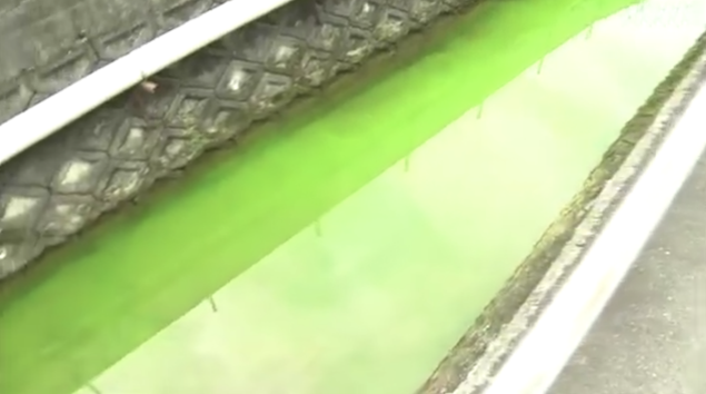 日本一条河变成荧光绿色 市政府：上流发现红褐色物质，浇水后变绿
