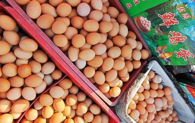 蛋价“跌惨”，玉米涨跌“停滞” 农产品市场供需博弈加剧