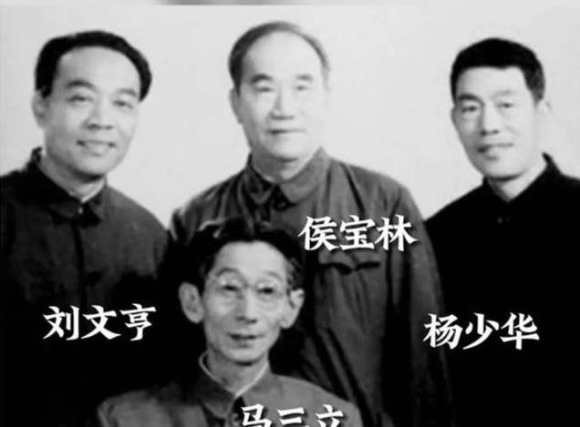 杨少华师承为何有争议？长子杨威一锤定音，直言父亲是海青