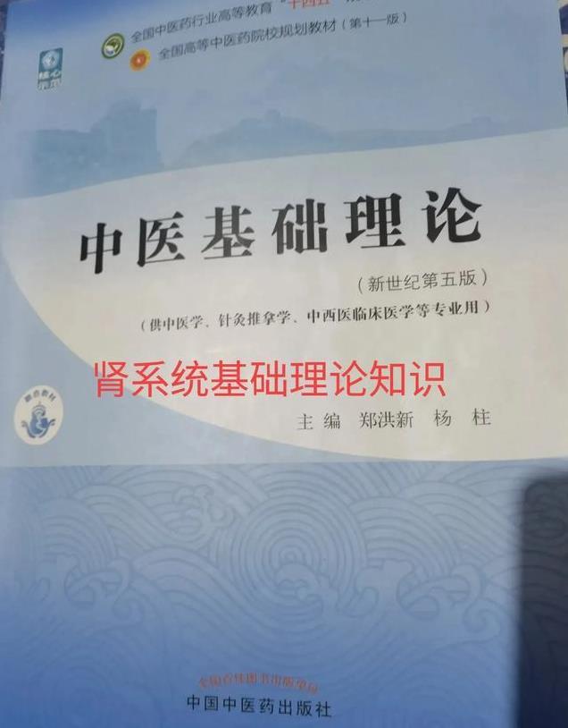中医基础—肾系统