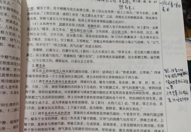 中医基础—肾系统