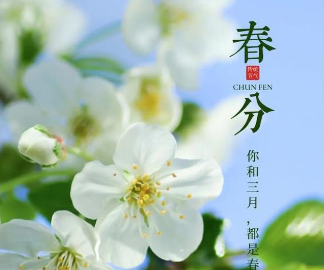 春分来临，春意盎然！7款春季限定美食，鲜美多汁，错过等一年！