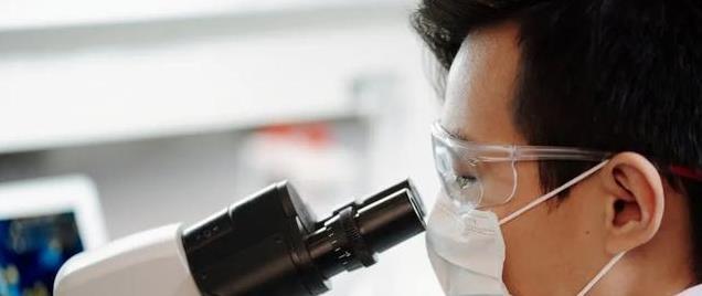胆固醇不再是罪魁！科学家揭示新动脉硬化致病因素，逆转治疗有望