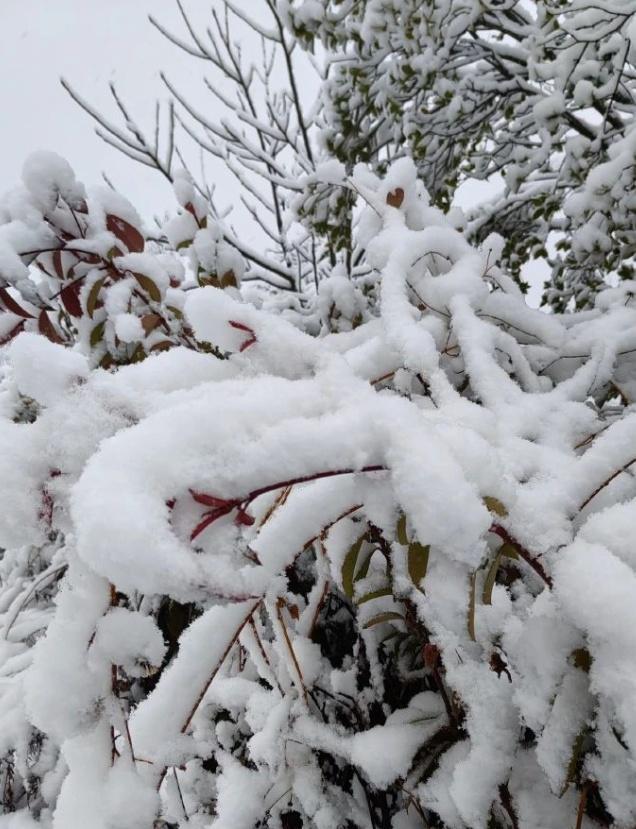 河南局地暴雪深度超20厘米 多地交通受影响