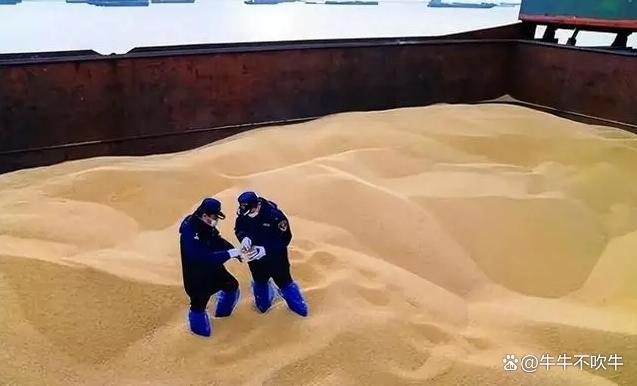 全球大豆市场风云突变 中国策略调整引发关注