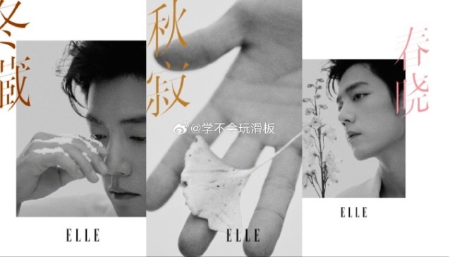 肖战ELLE杂志 首位达成“开年刊+金九刊”双封面成就内地男星