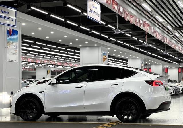 17万入手特斯拉Model Y，省钱又拉风，值不值得买？