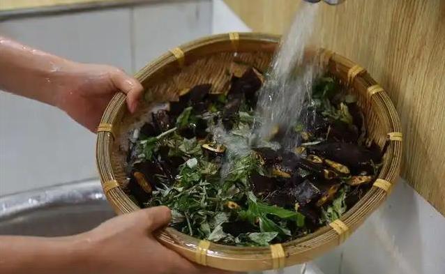 夏天头油痒得烦？试试艾叶洗头，效果让你大吃一惊！