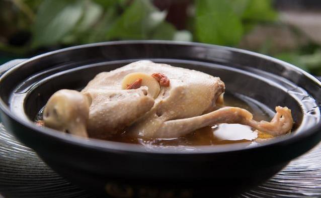 乳鸽藏惊人营养，吃错白搭，你会挑吗？
