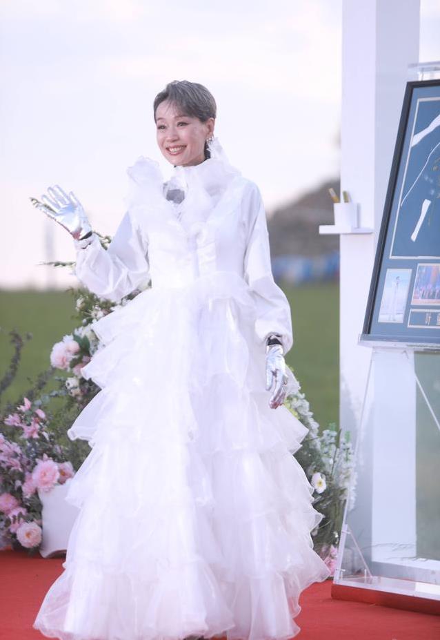 乘风2025红毯星光闪耀，赵雅芝惊艳全场，谁造型更抢眼？
