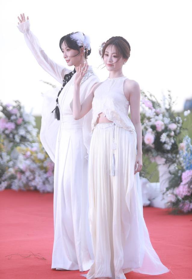 乘风2025红毯星光闪耀，赵雅芝惊艳全场，谁造型更抢眼？