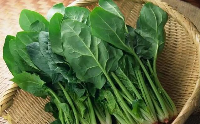 菠菜蘑菇海带很健康？肾衰患者吃多了却伤身？医生揭3大饮食禁忌