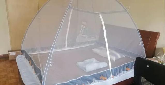 夏天蚊子咬得满身包，4个妙招快速止痒，你试过几个？