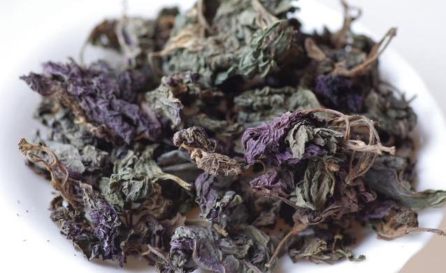 手脚冰凉喝冷水拉肚子？紫苏叶一招赶寒湿，3天暖全身