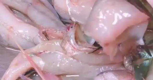 豆腐鱼火爆潮汕，滑嫩无鳞超好吃，你尝过这绝味没？