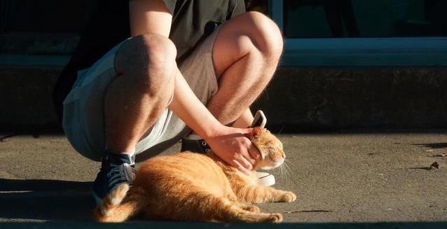 腿毛旺盛惹人愁？男生毛多有原因，真相让你大吃一惊