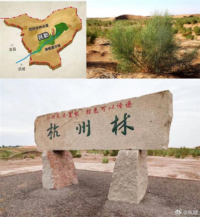 甘肃杭州林面积已大过西湖 13年在腾格里沙漠种下15000亩绿色