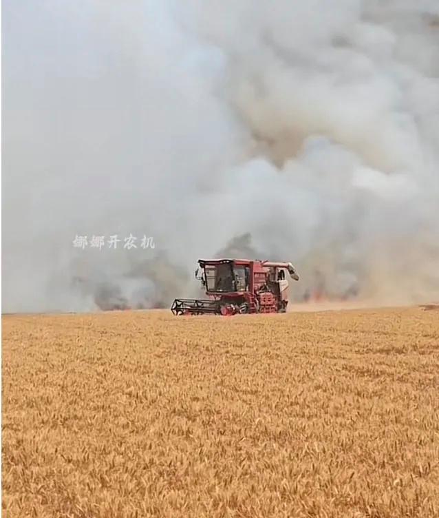 女農(nóng)機(jī)手遇麥田著火 駕車沖進(jìn)火場(chǎng)搶收麥子