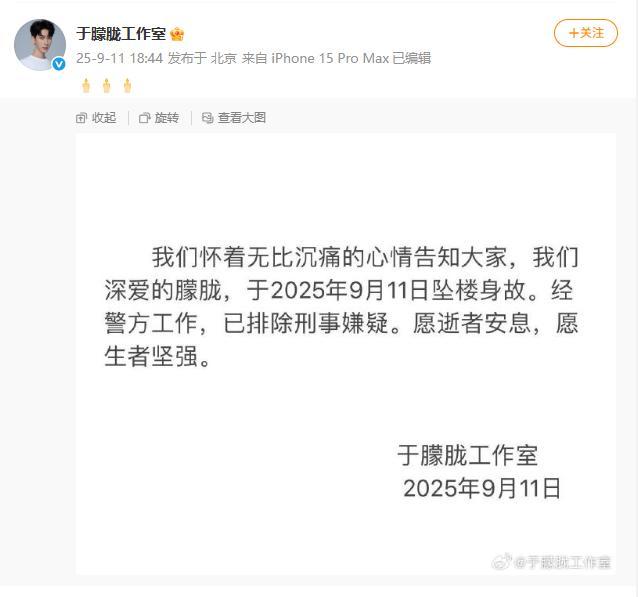 工作室证实于朦胧坠亡