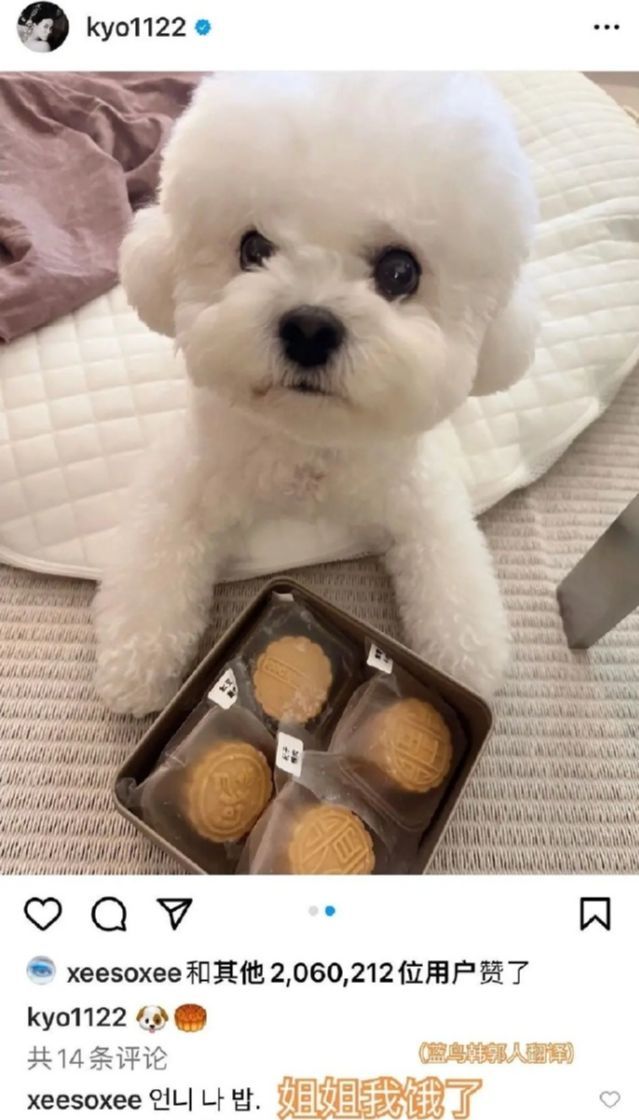 大家终于搞明白了:摆拍和女爱豆的小卡贴贴是工作,和女前辈暧昧互动是
