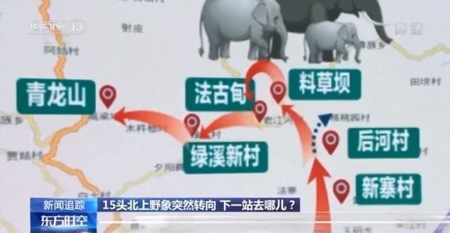 北上野象走出“S”路线 下一站去哪儿？