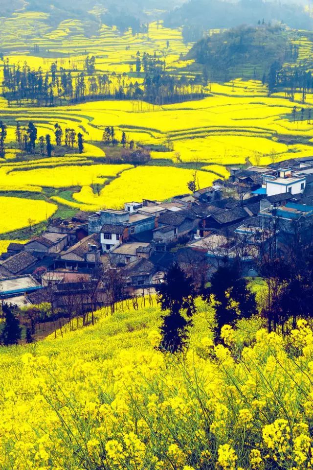  春天里的中国色，美到窒息！ 