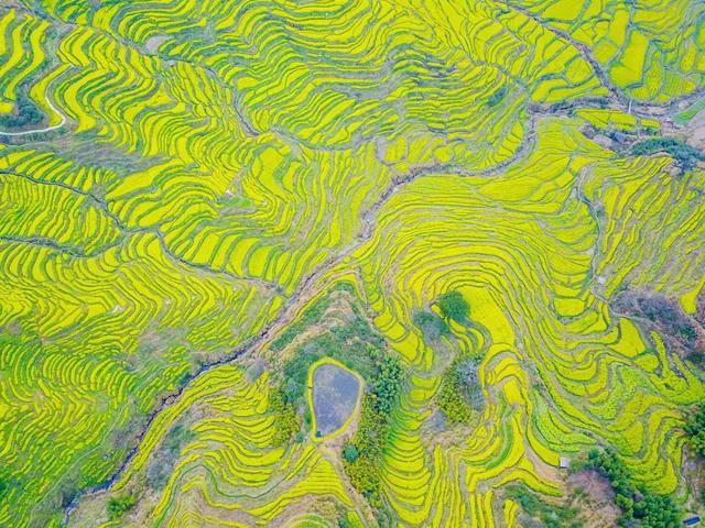 文旅赋能乡村振兴的“江西春潮”