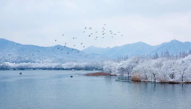 凌晨，“小雪”来了！