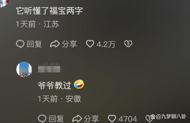 福寶四川基因覺醒！"果賴"是川渝寶寶們的神奇召喚術