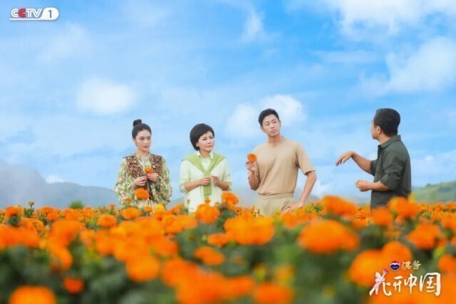 滇南花开红河岸，探寻“一朵花”的中国式浪漫