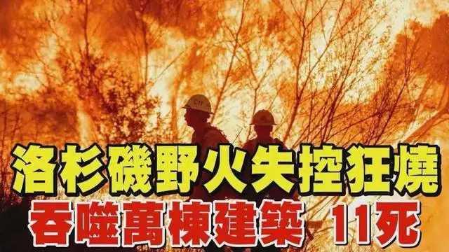 台湾岛内从洛杉矶大火看到了什么 美国救灾能力受质疑