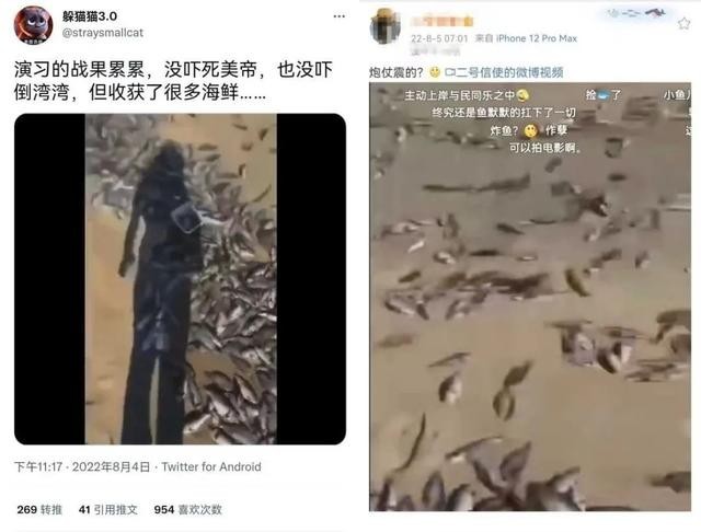 媒体:海滩现大量死鱼与军演无关，视频系21年上传