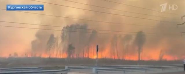 俄库尔干州大火6人死亡 该州州长已向俄总统普京汇报该州大火情况
