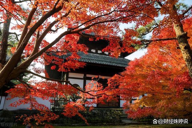 日本为何推行"国民收入倍增计划" 历史背景及起因__