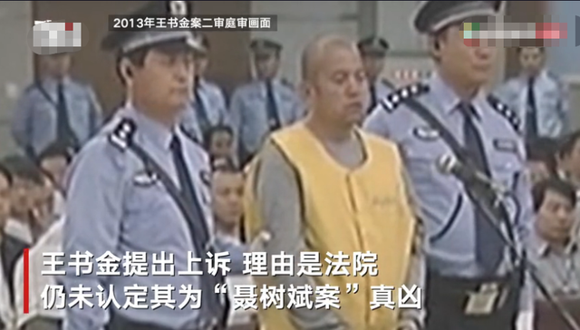 王书金案重审二审宣判获死刑，剥夺政治权利终身