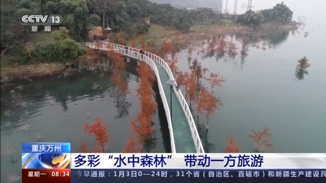 人与青山两不负：探访重庆“水中森林”岸上人家