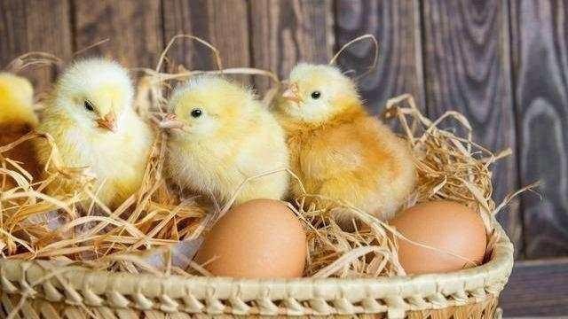 晚报|澳方得病让别人吃药 “美舰混入辽宁舰编队”