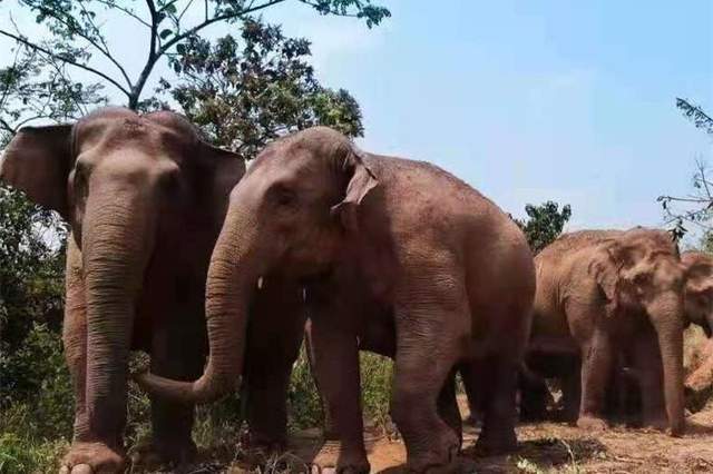 晚报|十堰爆炸事故致12死 G7领导人密谈中国起争执