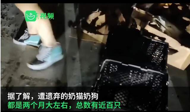 中华晚报|航天员的中秋礼物 警方回应宠物盲盒被弃